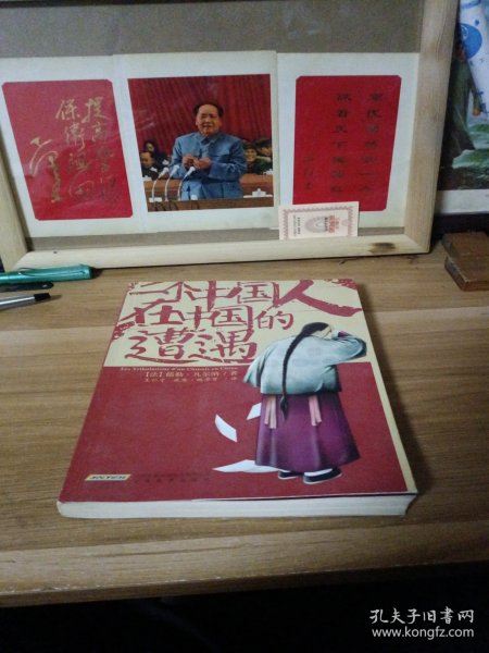 一个中国人在中国的遭遇
