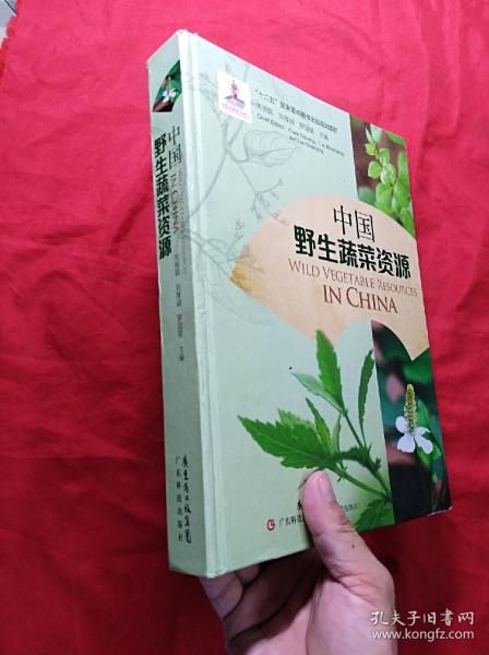 中国野生蔬菜资源(16开精装，彩色图)