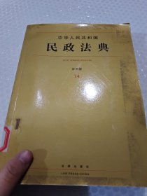 中华人民共和国民政法典(应用版)