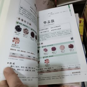 医学经典传统良方养生保健方法图解汤头歌诀单册