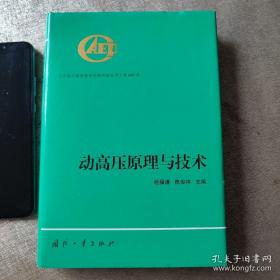 动高压原理与技术——中国工程物理研究院科技丛书