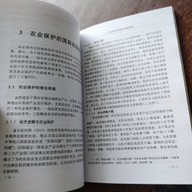 农业多边谈判国内支持规则的形成机制与约束效果研究