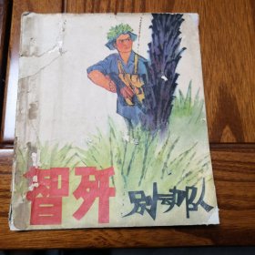 智歼别动队B2