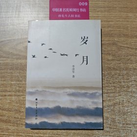 岁月（长篇小说）