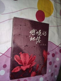 燃烧的记忆