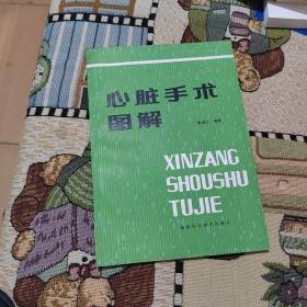 心臟手術圖解