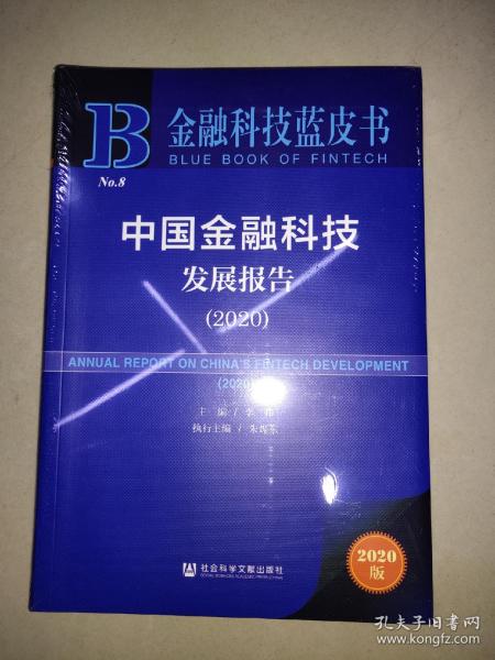 中国金融科技发展报告（2020）/金融科技蓝皮书