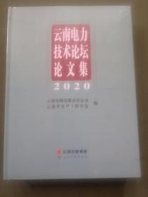 云南电力技术论坛论文集2020未开封全新