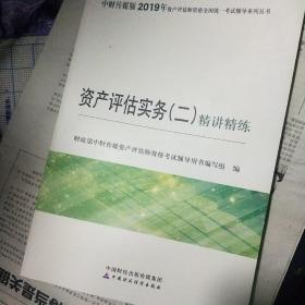 2019年资产评估师资格全国统一考试辅导系列丛书：资产评估实务（二）精讲精练