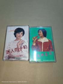 风从那里来+迷人的卡勒(王菲独唱一二磁带)