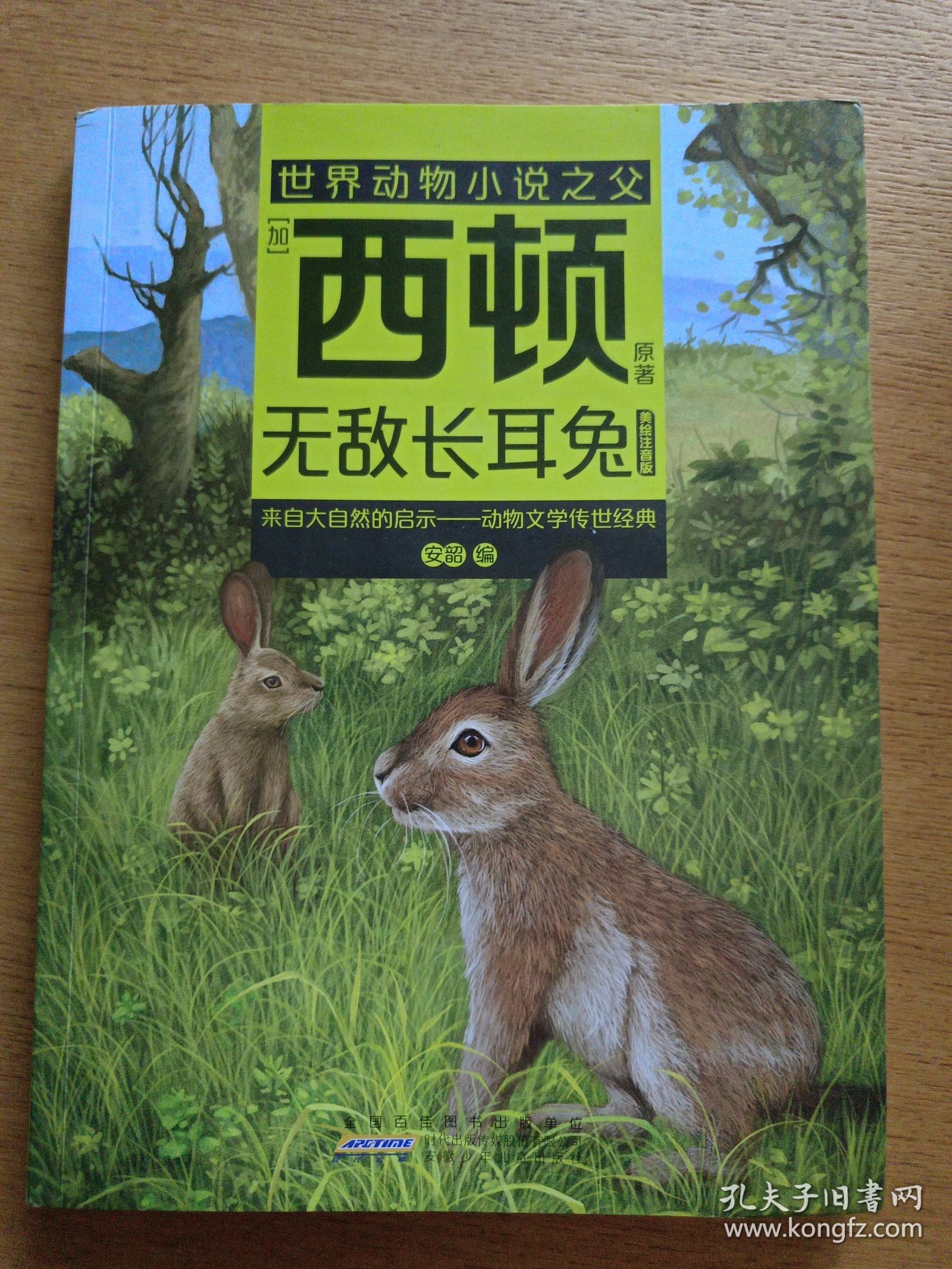 点击查看原图 无敌长耳兔:美绘注音版