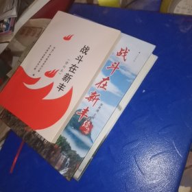 战斗在新丰 战斗在新丰续集 两本合售