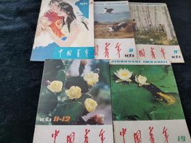 中国青年1981年第3，8，9，11.12，19期五本合售
