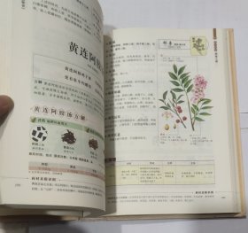 汤头歌诀(彩色图解 超值全彩珍藏版)