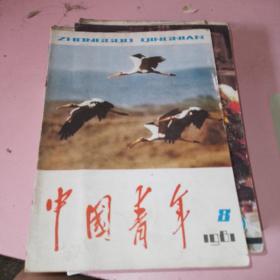 中国青年1981年8期