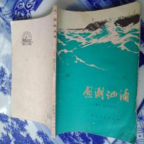 怒潮汹涌（散文、报告文学集）