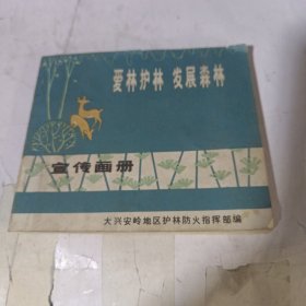 艾琳护理发展森林宣传画册