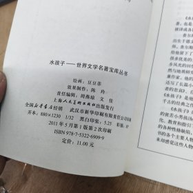 世界文学名著宝库：水孩子（青少版）