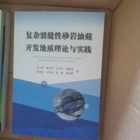 复杂裂缝性砂岩油藏开发地质理论与实践