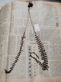 植物标本，无标本台纸.2150527-104
