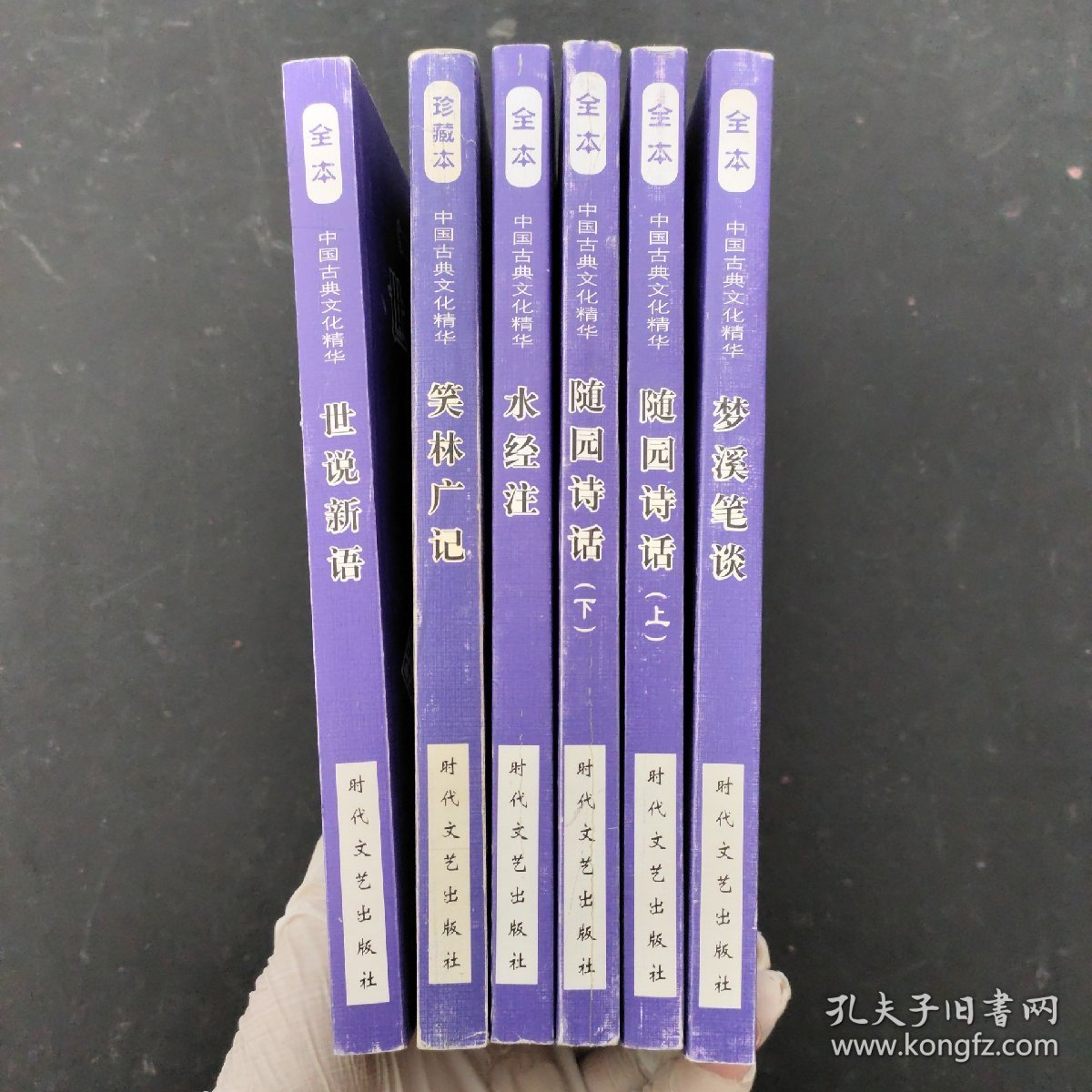 （6本合售）中国古典文化精华丛书：随园诗话 上下册、梦溪笔谈、世说新语、笑林广记 、水经注