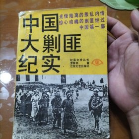 中国大剿匪纪实