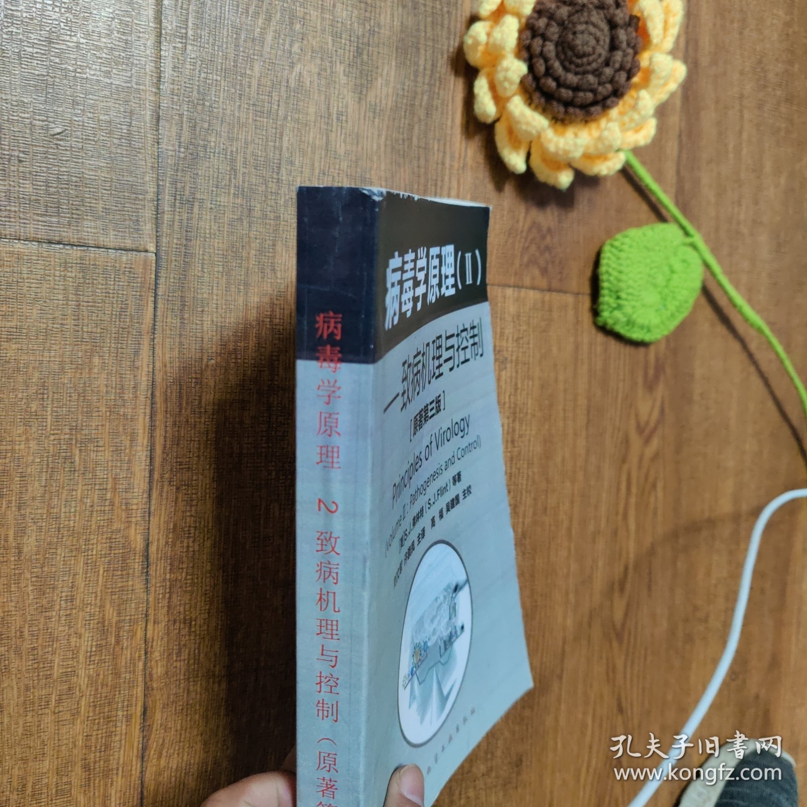 病毒学原理（Ⅱ）：致病机理与控制