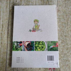 10节必学的栽培课：园艺达人养成指南