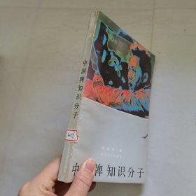 中国牌知识分子