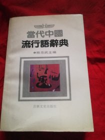 当代中国流行语辞典