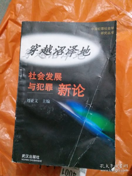 穿越沼泽地:“社会发展与犯罪”新论（大32开16）