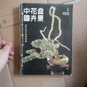 海外花卉盆景特辑 中国花卉盆景1992年1月～12月