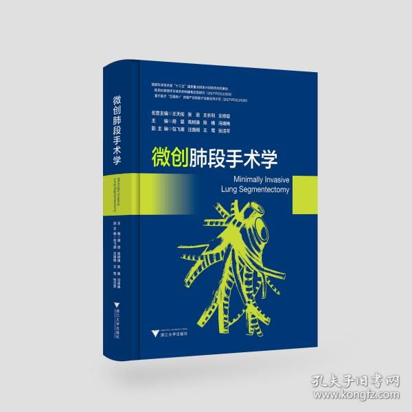 微创肺段手术学(精)/胡坚/高树庚/陈椿/冯靖祎/浙江大学出版社