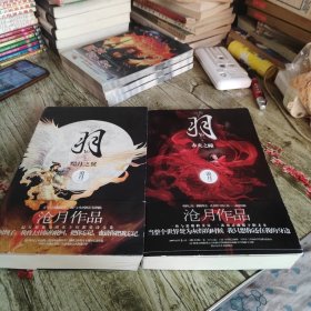 沧月作品《羽》卷二赤炎之瞳 卷三黯月之翼 两本