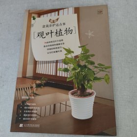 图说盆栽养护这点事：观叶植物