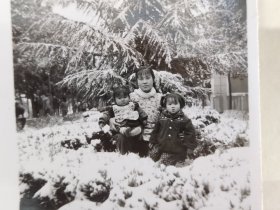 1971年母女三人昆明圆通山雪景照片(昆明难得的雪景)“风雨送春归，飞雪迎春到”