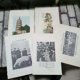 笔记本内页插图共5张  毛主席视察农村 在天安门 七届中央委员会等 放二二文件