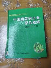 农业病虫草害防治新技术精解 中国蔬菜病虫害原色图解