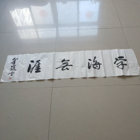 刘金凯书法 学海无漄