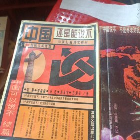 中国还是能说不+中国可以说不