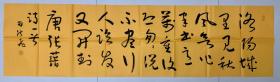 田淑飞六尺条书法