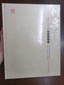 何要浮名–齐白石的艺术世界，全新带塑封 北京画院 宁宁波博物馆编