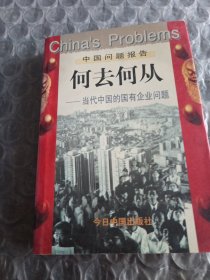 何去何从：当代中国的国有企业问题
