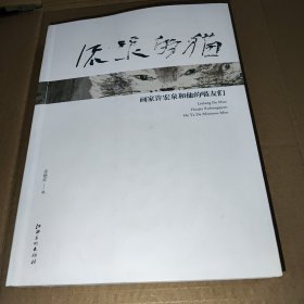 流浪的猫 : 画家许宏泉和他的喵友们