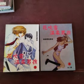 单行本漫画《花吹雪温柔男孩》2本全