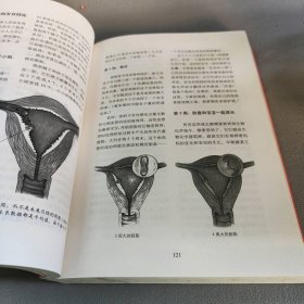 西尔斯怀孕百科