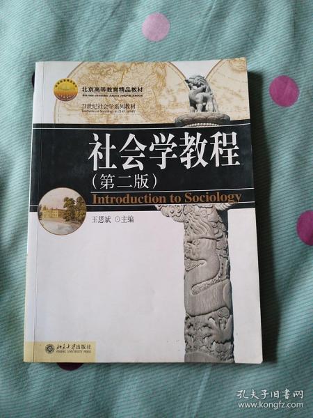 21世纪社会学系列教材：社会学教程（第二版）