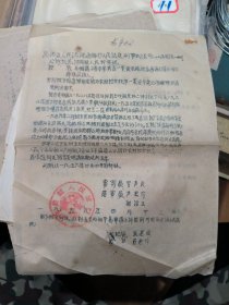 1956年沔阳县判决书、1959年特赦通知书及各种材料。破坏春耕蛊惑人心及社会秩序