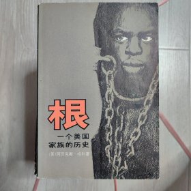 根 一个美国家族的历史