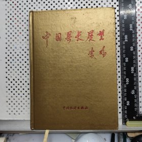 中國縣長展望